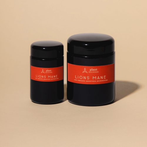 Lions Mane Organic Powder