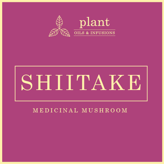 Shiitake Organic Powder Plant Oils & Infusions