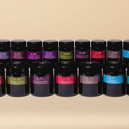 Mushroom Powders & Blends
